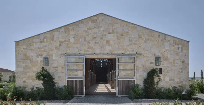 Binicilik Tasarımında Devrim: Turizmde Deneyimi Zirveye Taşıyor